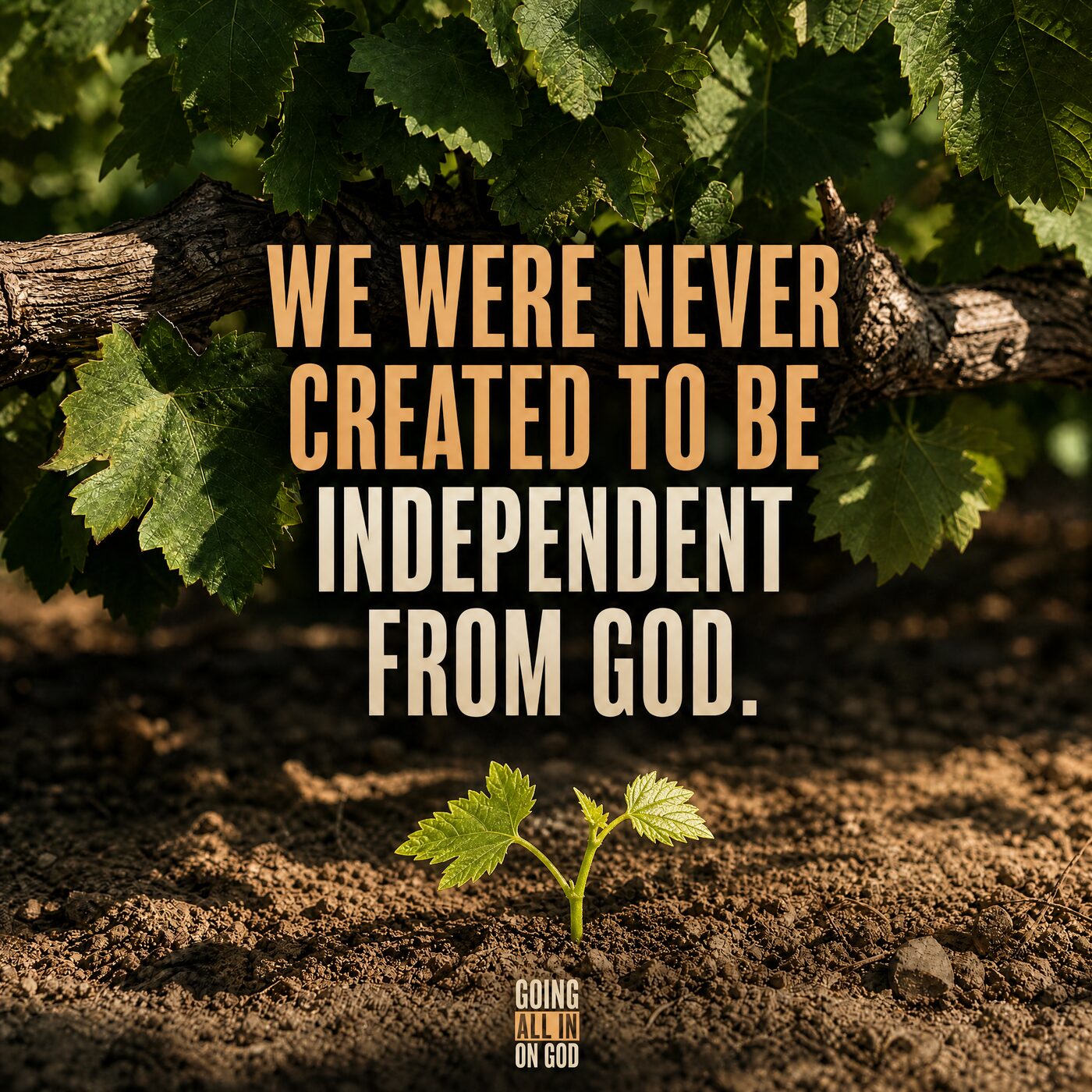 Grapevine branch above a young seedling with the words: we were never created to be independent from God
