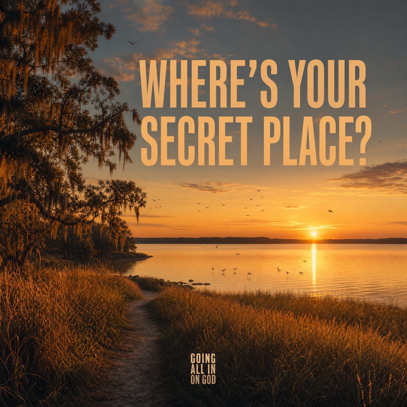 Central Florida lake at sunrise with a footpath and the question: where's your secret place?